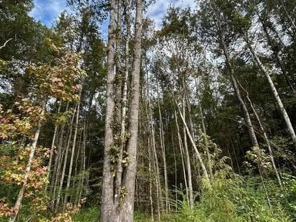 8049 Smith Co Rd #504, Raleigh, MS 39153