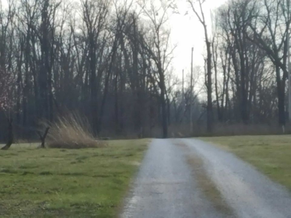2nd image of 1483 Homestead Dr