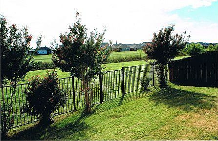 View from backyard to greenbelt