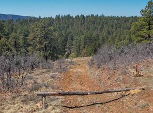 149/154 Engineer Point, Pagosa Springs, CO 81147