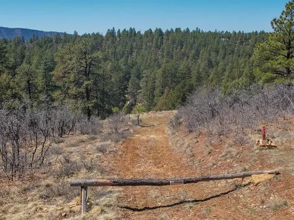 154 Engineer Point, Pagosa Springs, CO 81147