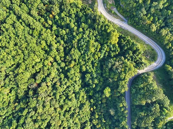 0 Huff Mountain, Cyclone, WV 24827