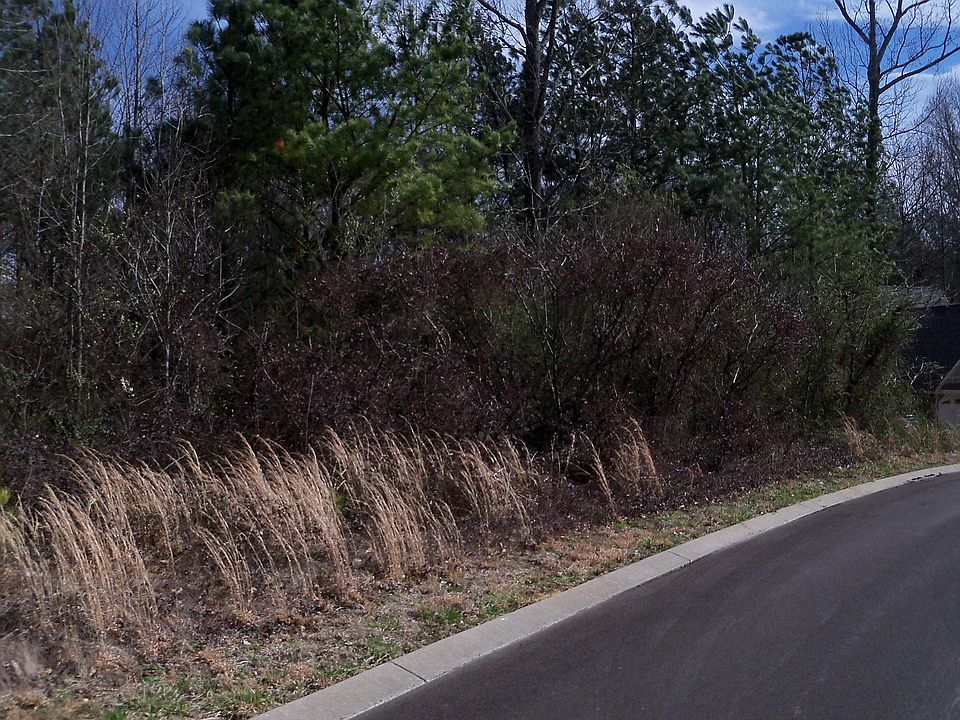 1st image of 37 Misty Meadows Cir SE