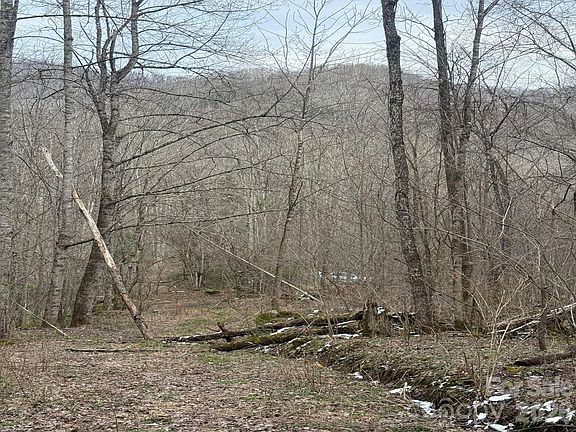 2nd image of Jass Cove Rd