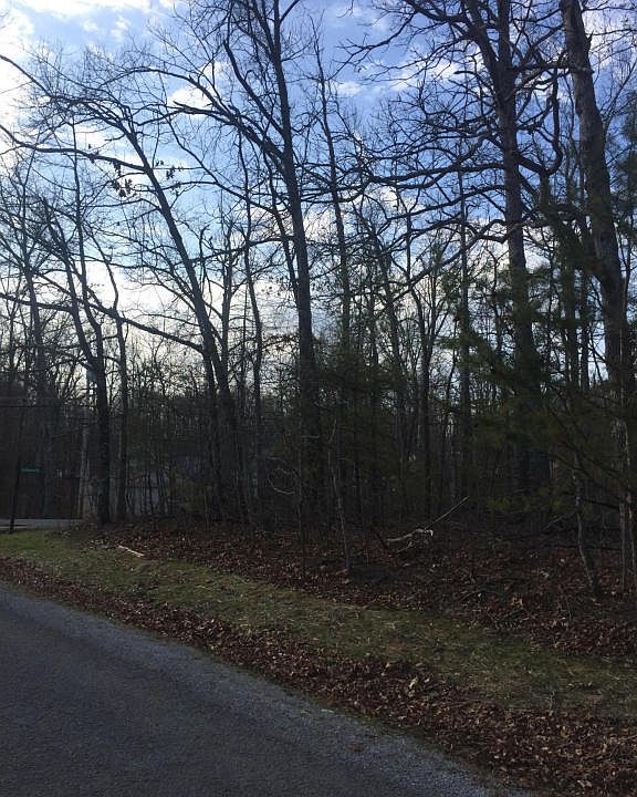 2nd image of 118 Britton Ln
