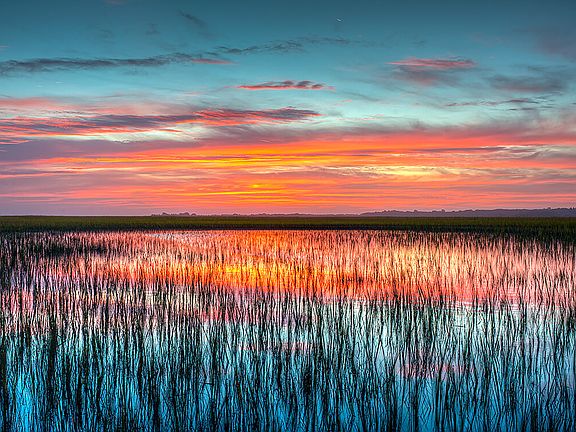 3rd image of 123 Spartina Ct