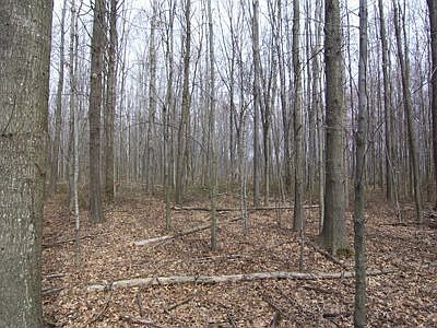 2nd image of Long Spurling Rd