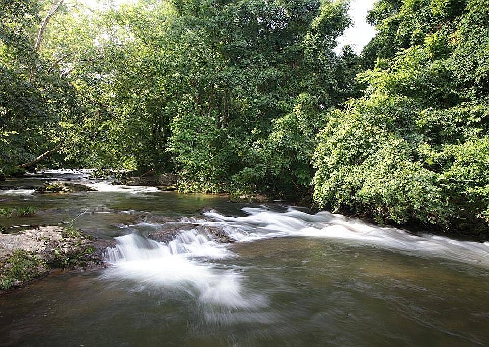 1st image of 222 Limestone Way