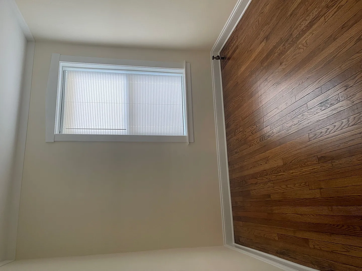 1 bed, $1,450 — Photo 4