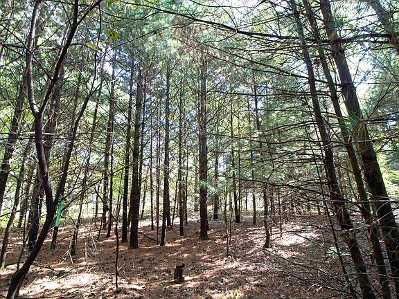 4th image of 1 White Pine Way