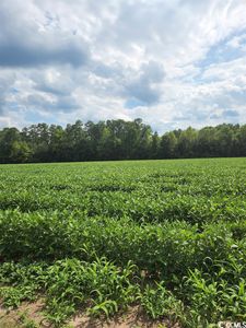 TBD W Highway 19, Loris, SC, 29569