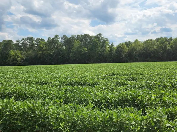 TBD W Highway 19, Loris, SC 29569