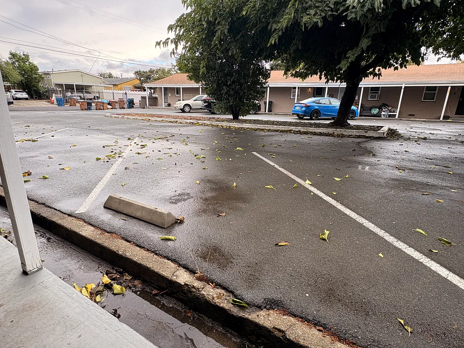 83 Solano Ave — Photo 3