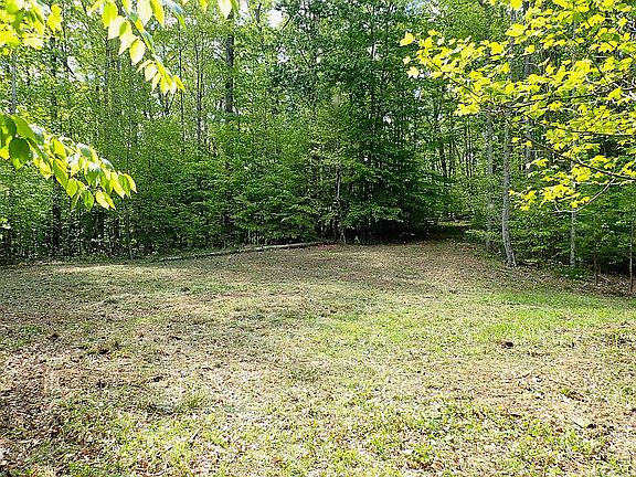 2nd image of New River Gorge Preserve #Lot 1