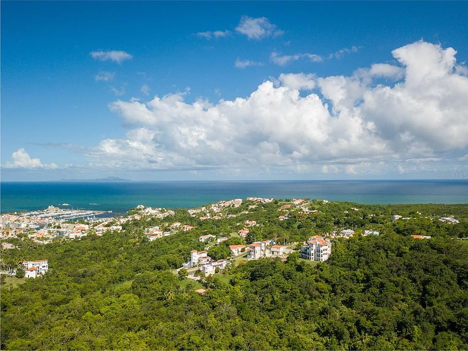 2nd image of Harbour Lights #33