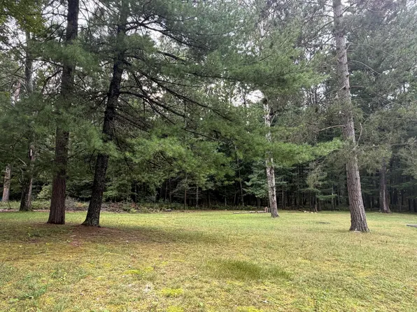 11831 Woody Rd, Roscommon, MI 48653