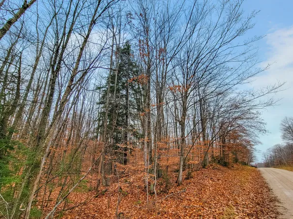 LOT 70 Andergood Rd, Lewiston, MI 49756