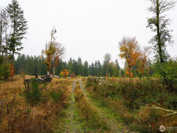 15138 Champion Estate Drive SE, Yelm, WA 98597