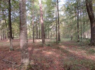 421 E Petros Rd, Pearl, MS 39208