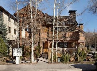 152 E Durant Ave, Aspen, CO 81611