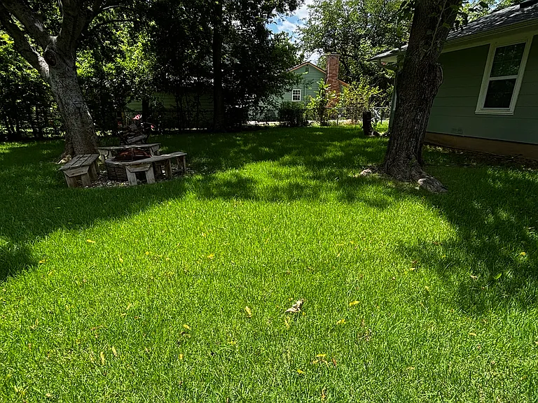 BACK YARD