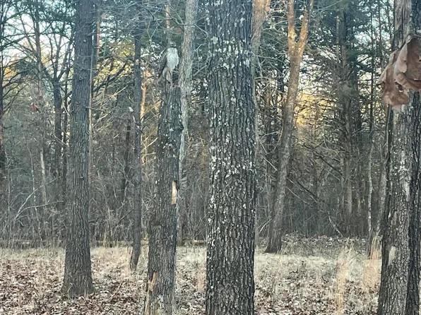 000 Farm Road 2250, Golden, MO 65658