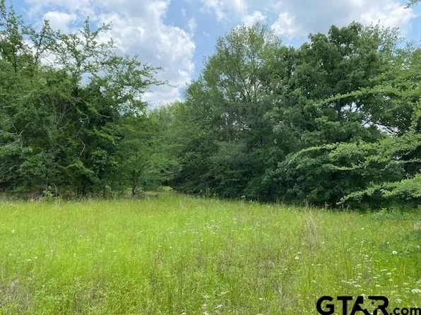 W Oak St, Eustace, TX 75124