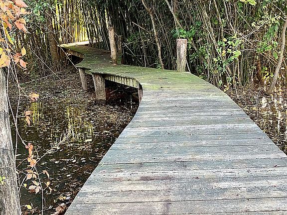 Walkway to Gazebo and Pond
