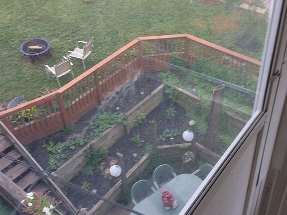 Upper Tier Yard Area