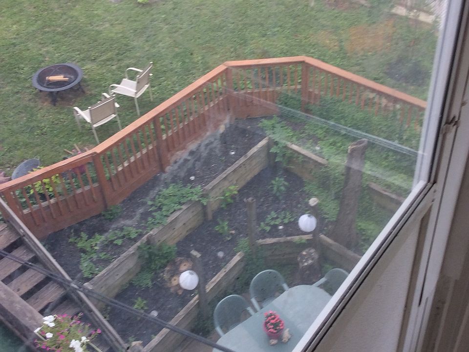 Upper Tier Yard Area
