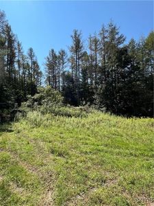 0 Hauck Hill Rd #29, Cortland, NY, 13045