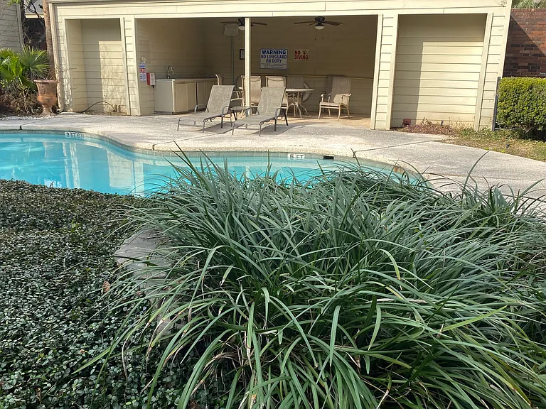 Community pool to relax