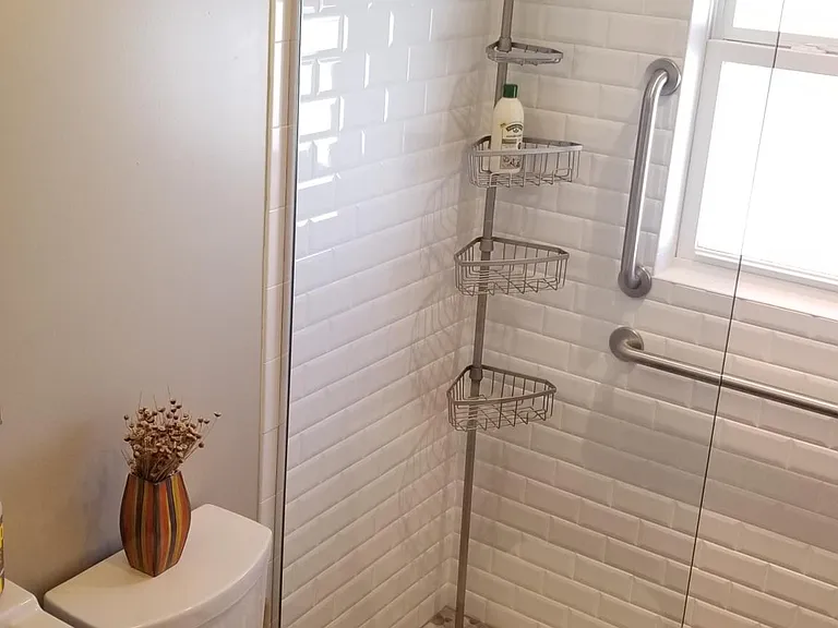 Easy access shower