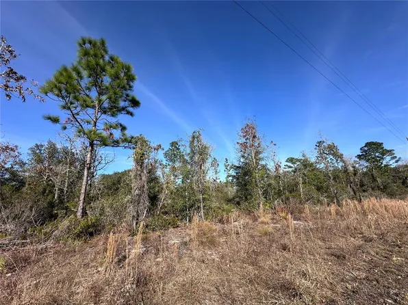 NE 117th Ter #16, Williston, FL 32696