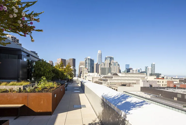 Downtown facing view from roof deck