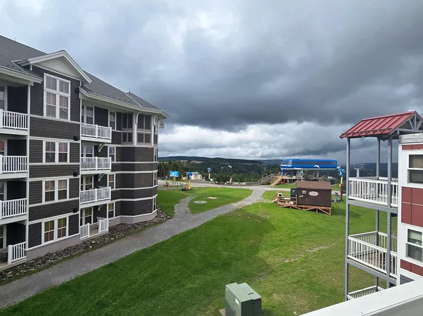 304 Mountain Ldg, Snowshoe, WV 26209