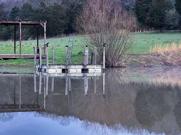 4th image of 0 Bryants Creek Dr