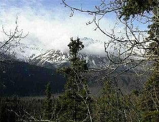 2nd image of Mi 84 5 S Glenn Hwy