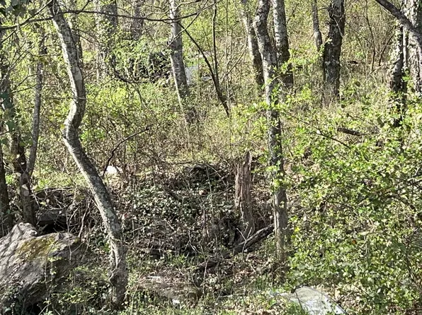 0 Sumpter St, Pulaski, TN 38478