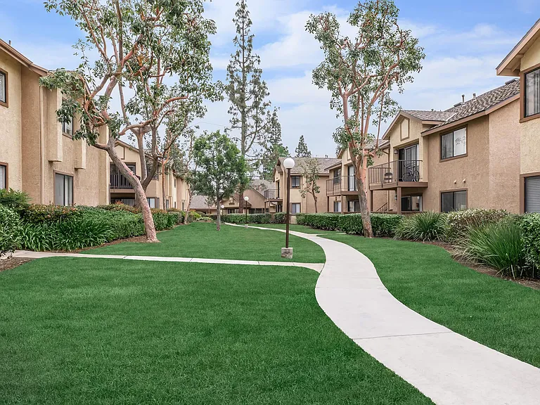 Mountain Springs Apartment Homes — Photo 12