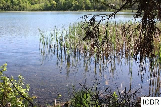 2nd image of 33548 W Deer Lake Rd