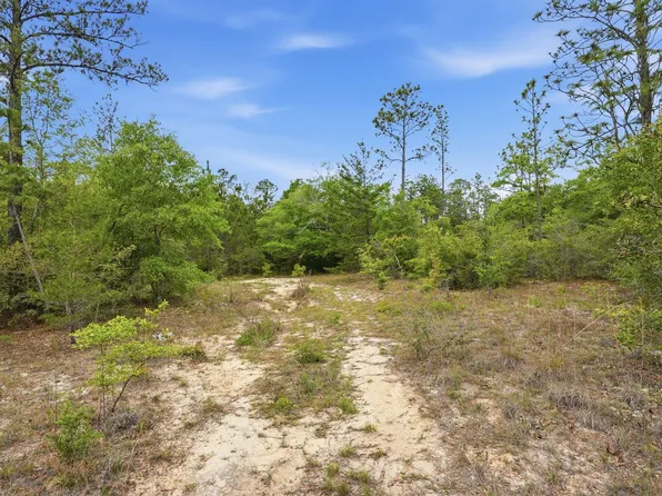 287 High Lonesome Rd, Defuniak Springs, FL 32435