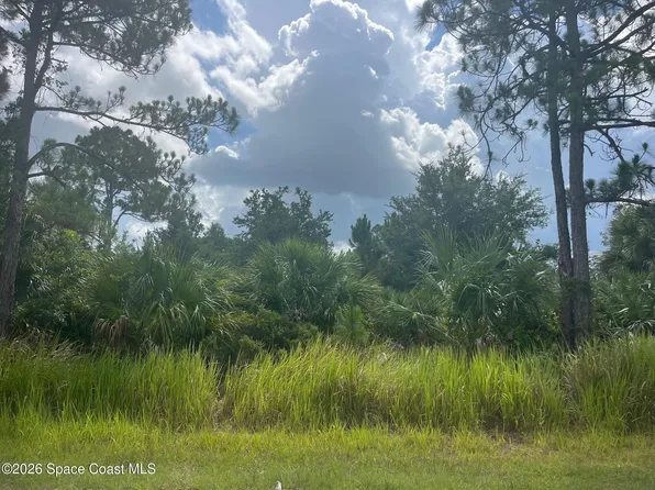 541 Windswept Ave SW, Palm Bay, FL 32908