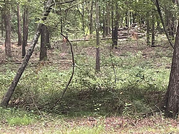 3rd image of 48 Big Rock Cir