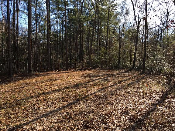 4th image of Lt 19 & 20 White Oak Dr
