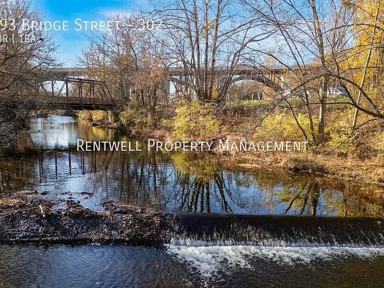 193 Bridge St #302 — Photo 26