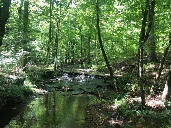 437 Ore Rd, Westpoint, TN 38486