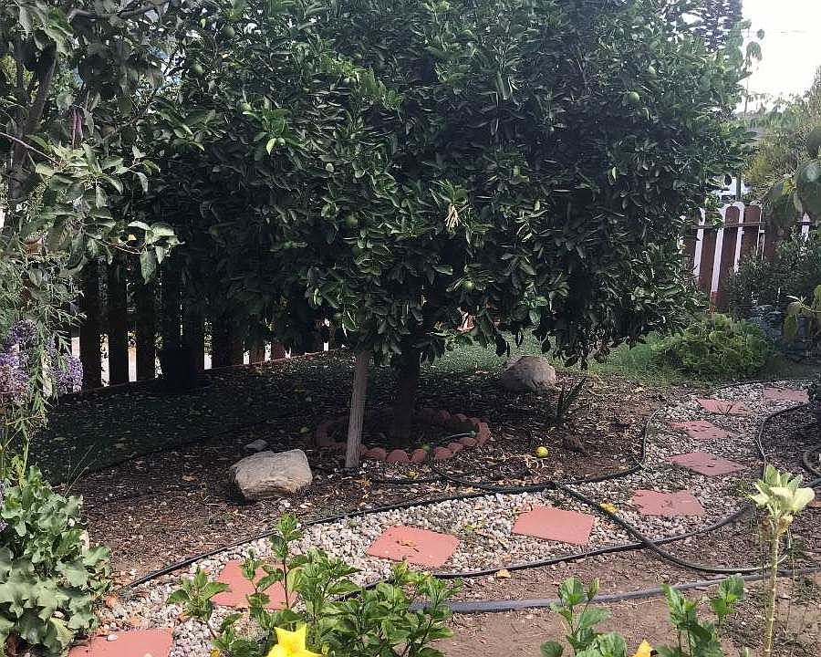 1st image of 312 W Olive St