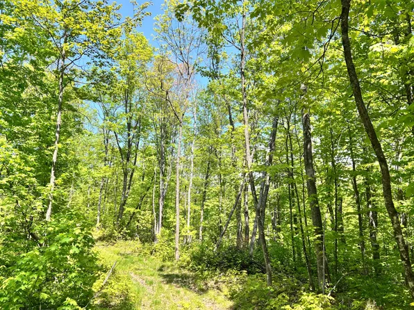 5 Timbercrest Way, Conover, WI 54519