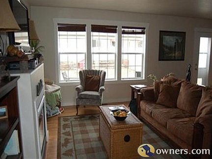 LIving room with windows to backyard